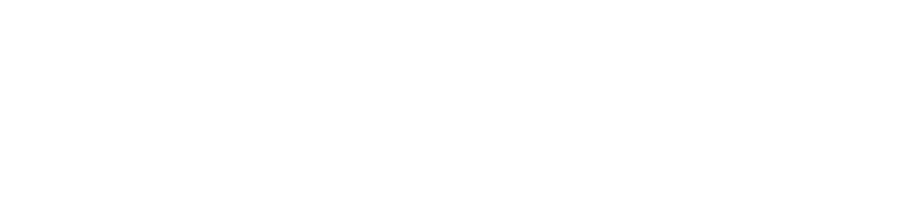 Logo Sculpture Network