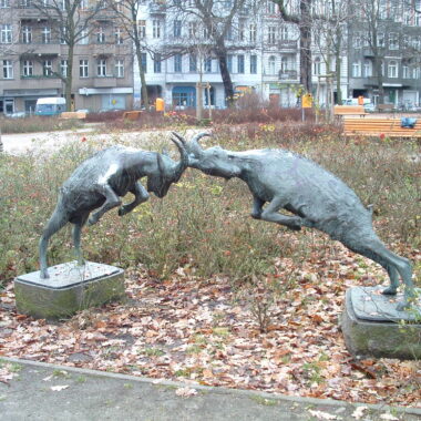 Kämpfende Ziegen