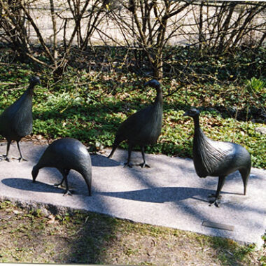 Geierperlhühner