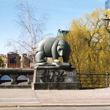 Vier Bären
