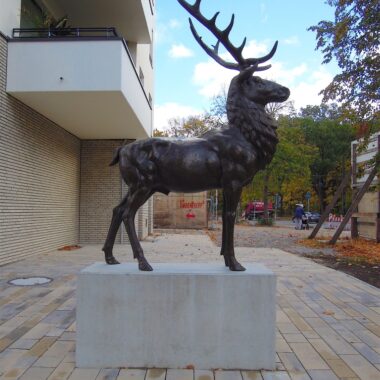 Hirsch