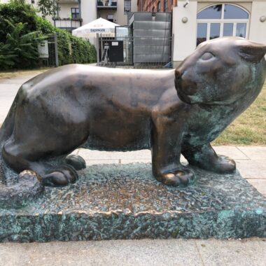 Pantherkatze