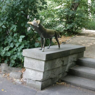 Fuchs