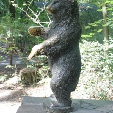 Jungbär