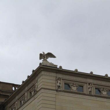 Adler