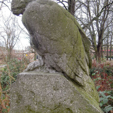 Sterbender Adler