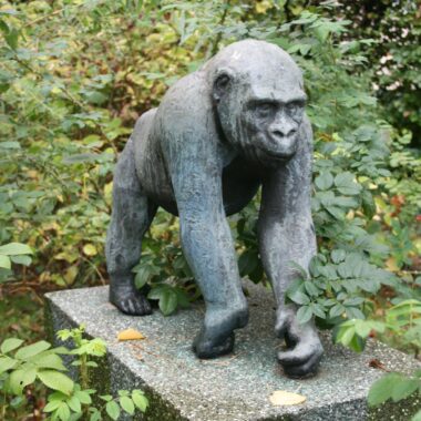 Junger Gorilla „Bakala“
