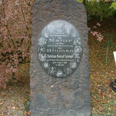Gedenkstein für Christian Konrad Sprengel
