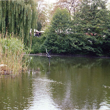 Reiher