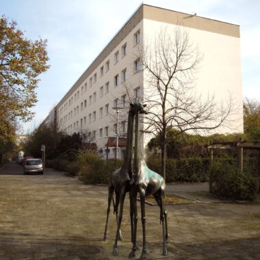 Giraffengruppe