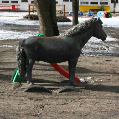 Pony