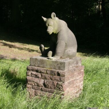 Jungbär