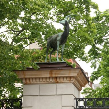 Gazellen