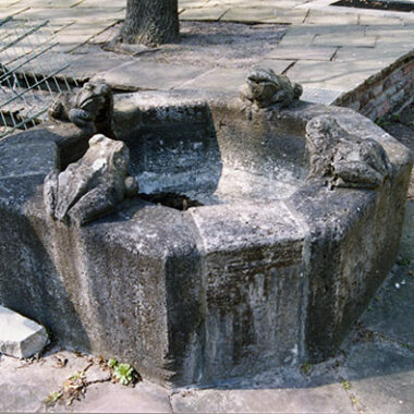 Frosch-Brunnen