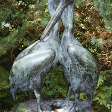 Pelikane